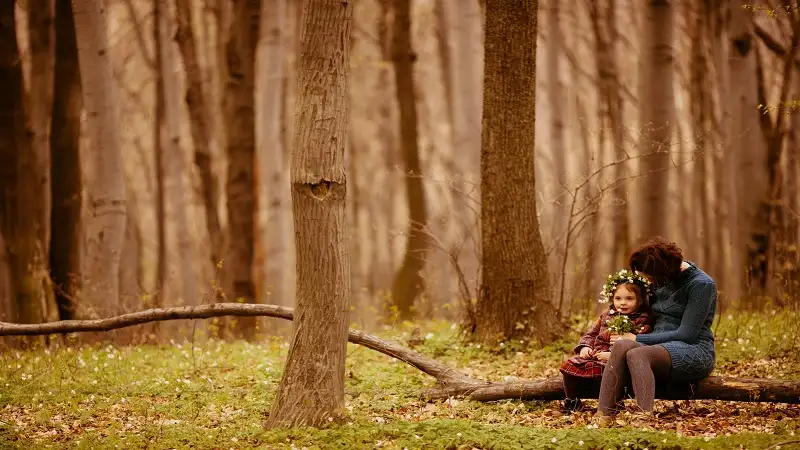 Trees: Nature’s Timeless Guardians