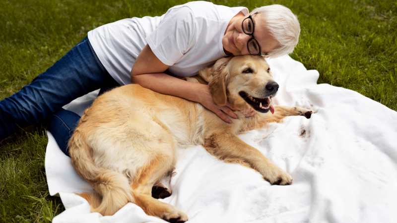 Best Ways to Relieve Joint Pain in Older Pets