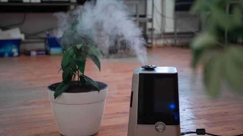 The Hidden Cost of Indoor Air Quality Most Households Overlook